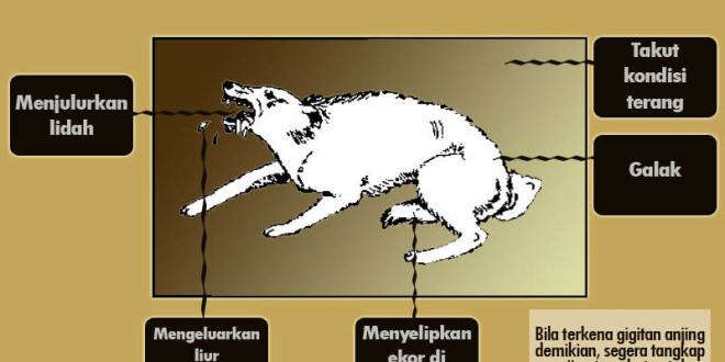 Waspada Rabies, Disnakeswan Riau Himbau Masyarakat Berhati-hati