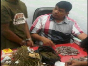 Kanit Reskrim Polsek Tenayan Raya memperlihatkan tersangka dan barang bukti 1 kg daun ganja kering. | Dok. RiauFakta.com.