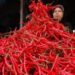 Pasokan Kurang, Harga Cabe Merah Merangkak Naik